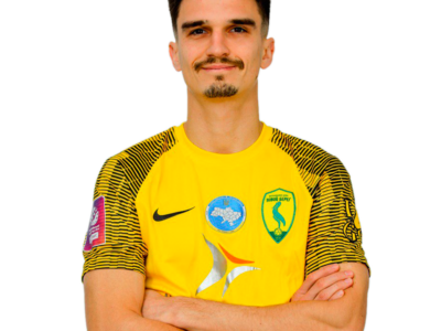 Дмитро Шастал